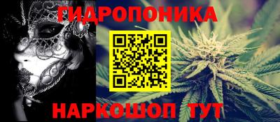 spice Баксан