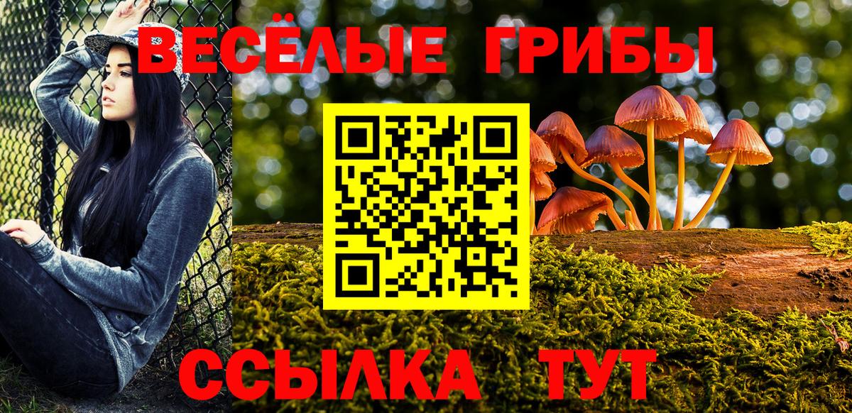 Псилоцибиновые грибы Psilocybe  Вход с VPN  Галлюциногенные грибы ЛСД  Волжский 